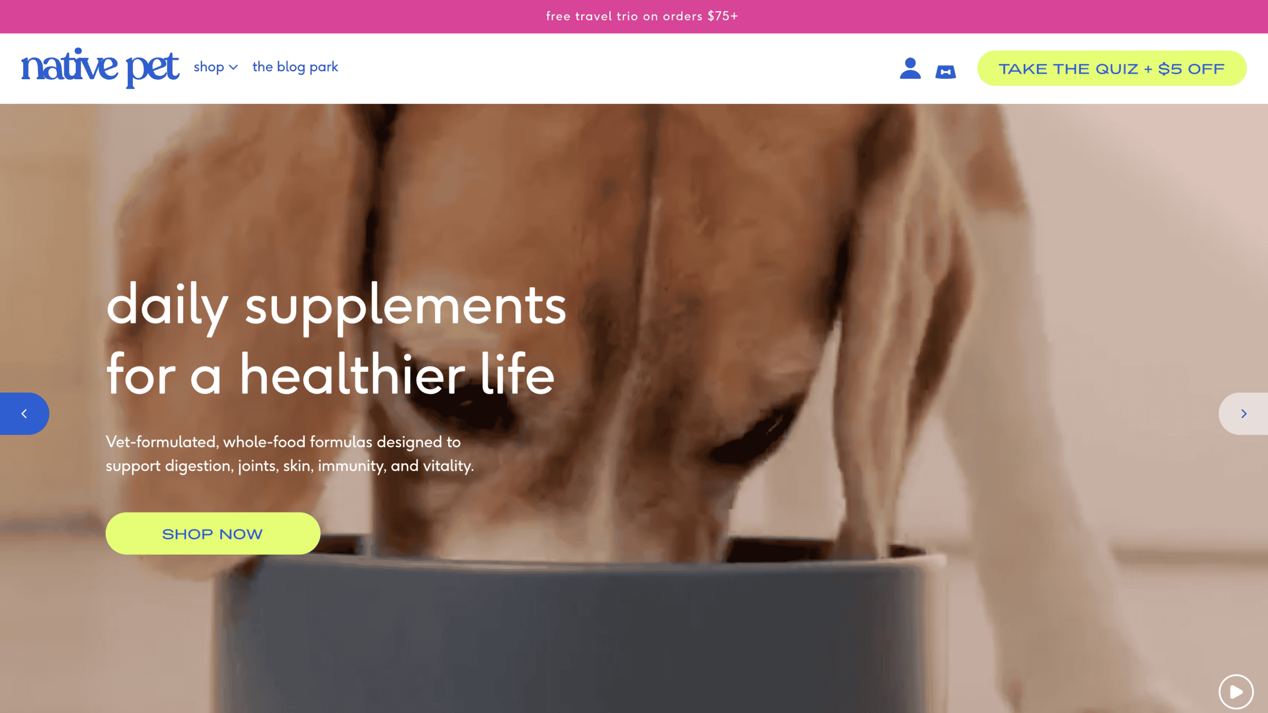 Dog enjoying Native Pet daily supplement for health and vitality.